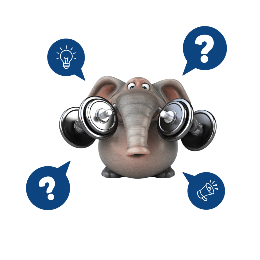 1 lypt | Bitzer Wiegetechnik