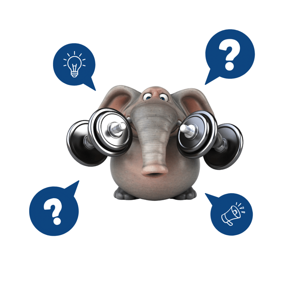 Bandwaagen 8 | Bitzer Wiegetechnik FAQ Tiere 1 | Bitzer Wiegetechnik