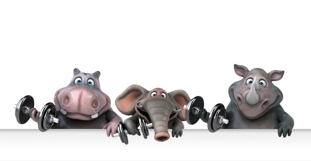 Montage | Bitzer Wiegetechnik